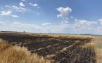 ДНИ ПРЕДИ ЖЪТВАТА: Голям пожар в Пловдивско унищожи 300 декара житни масиви
