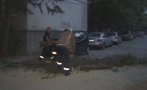 Силна буря в Пловдив събори огромен бор върху две коли