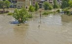 Бури причиниха наводнения и изтръгнаха дървета в Германия