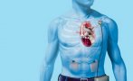 Европа с първа трансплантация на изцяло изкуствено сърце