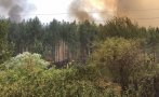 Избухна пожар в гората над Перник