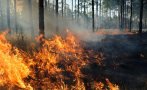 Голям пожар в Кочани, Северна Македония поиска помощ за гасенето от България