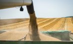Зърнопроизводител: Има внос от Украйна по тъмно, камиони са наредени на границата