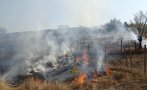 Пожар унищожи 350 декара лозя край Видин