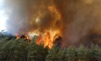 Турция в ужас от горските пожари