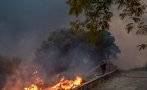 Пожарите в съседна Македония отново се разгоряха