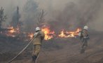 Извънредно положение: Пожарите в Русия застрашават ядрен център