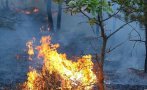 ОПАСНОСТ! Пожарът в Северна Македония се разраства, огънят приближава границата ни