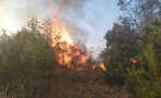 Пожар лумна в Родопите над Пловдив, подозират умисъл