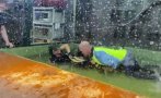 Алигатор нападна сътрудничка в център за влечуги в САЩ пред погледа на деца