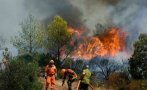 6 области в страната са застрашени от пожари, обявен е екстремален код за силна опасност (КАРТА)