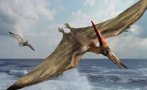 УНИКАЛНА НАХОДКА: Откриха най-стария динозавър в Африка