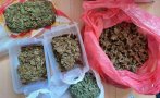 Служители на столичното Седмо РУ иззеха близо килограм марихуана