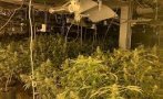 СДВР разби модерна лаборатория за марихуана в квартал 