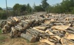 Напрежение в Югозападна България заради недостиг на дърва за огрев