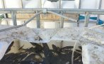 Зарибиха с над 3000 шарани язовир Зарибиха с над 3000 шарани язовир