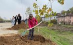 Облагородяват източната част на кейовата зона в Русе