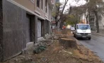 брутално отрязаха дърветата новопостроена сграда пловдив