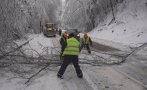 ОТ ПОСЛЕДНИТЕ МИНУТИ: Паднали дървета затвориха прохода Шипка