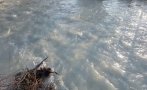 водите река струма наближават опасно село тополница