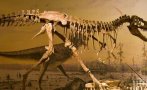 БГ-Джурасик парк: Имало ли е динозаври по нашите земи