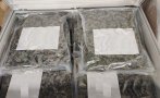 Задържаха 17 килограма марихуана в пратка с електрически табла