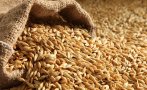 Ситуацията в Украйна подлуди цените на пшеницата и фуражите
