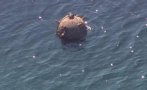 ЗАРАДИ МИНИТЕ: Предупредиха рибарите да не влизат в морето ЗАРАДИ МИНИТЕ: Предупредиха рибарите да не влизат в морето
