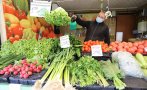 софиянци пазаруват пресни зеленчуци пазар красно село снимки