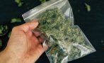 Мъж от Ямбол изхвърли плик марихуана при проверка в Бургас Мъж от Ямбол изхвърли плик марихуана при проверка в Бургас