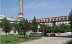 Директорът на 