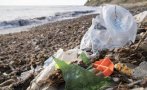 ШОК: Всяка седмица изяждаме пластмаса, колкото за една кредитна карта