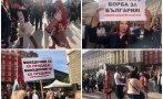 ПЪРВО В ПИК! ВМРО спря движението в Триъгълника на властта - искат оставката на кабинета заради Северна Македония и плашат да блокират държавата (СНИМКИ)