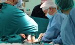 Във ВМА са извършени общо 98 чернодробни трансплантации