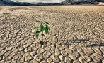 Тревога в почти цяла Франция заради сушата