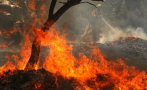 Три пожара горят в Бургаско, мъж почина от задимяване