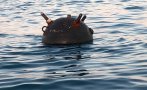 Военни експерти: Морски мини ще разкъсат корабите с украинско зърно