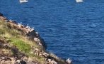 пик дедо еконтий покри палат милиони бившият министър крие осиновено момиче созопол снимки