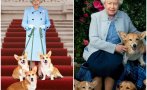 Ето кой ще поеме грижата за любимите кучета на Елизабет II