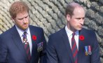 НОВ СКАНДАЛ: Принц Хари обвини брат си Уилям в насилие
