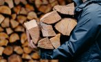 Шефът на Агенцията по горите с апел: Внимавайте какви дърва купувате