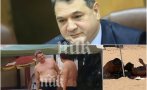 СИГНАЛ ДО ПИК! Главният секретар на МВР - уж в командировка на границата, а се пече на плажа (СНИМКИ)