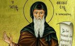 ПРАЗНИК: Днес почитаме Св. Теодосий Велики - имен ден празнуват...