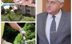 ГОРЕЩО В ПИК! Това ли е градинарят на Бойко Рашков? (ВИДЕО/СНИМКИ)