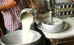 фермери протест хасково заради ниска изкупна цена млякото