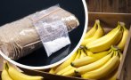 УДАР: Близо 8,8 тона кокаин е открит в пратка банани за Белгия