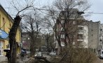 ЧЕРЕН ВЯТЪР: Мощна пролетна буря се изви над Пловдив - повали дървета, смаза коли, отнесе покриви (СНИМКИ/ВИДЕО)