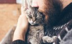 учени обясниха всеки мъж котка