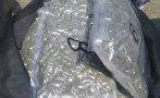 ПОРЕДЕН УДАР: Откриха 123 кила канабис в камион край Видин
