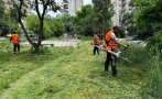 След Росина Станиславова потоп! Столична община започна ударно косене в Красно село